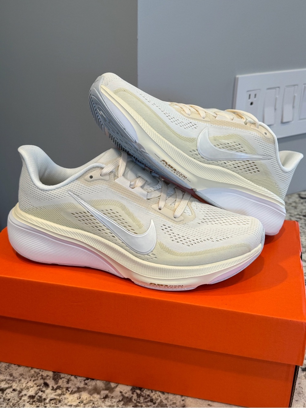 Womens Nike Pegasus 42